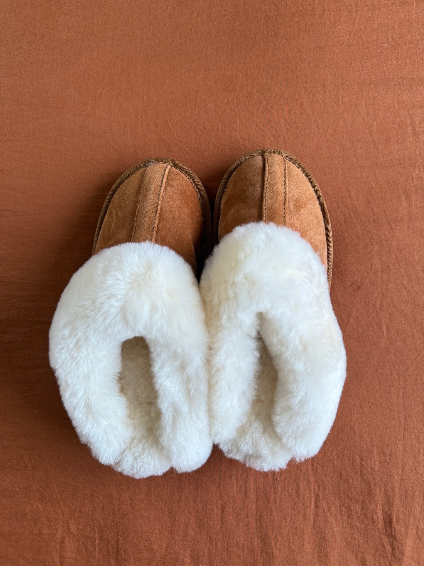 Wool Slides - Size L8